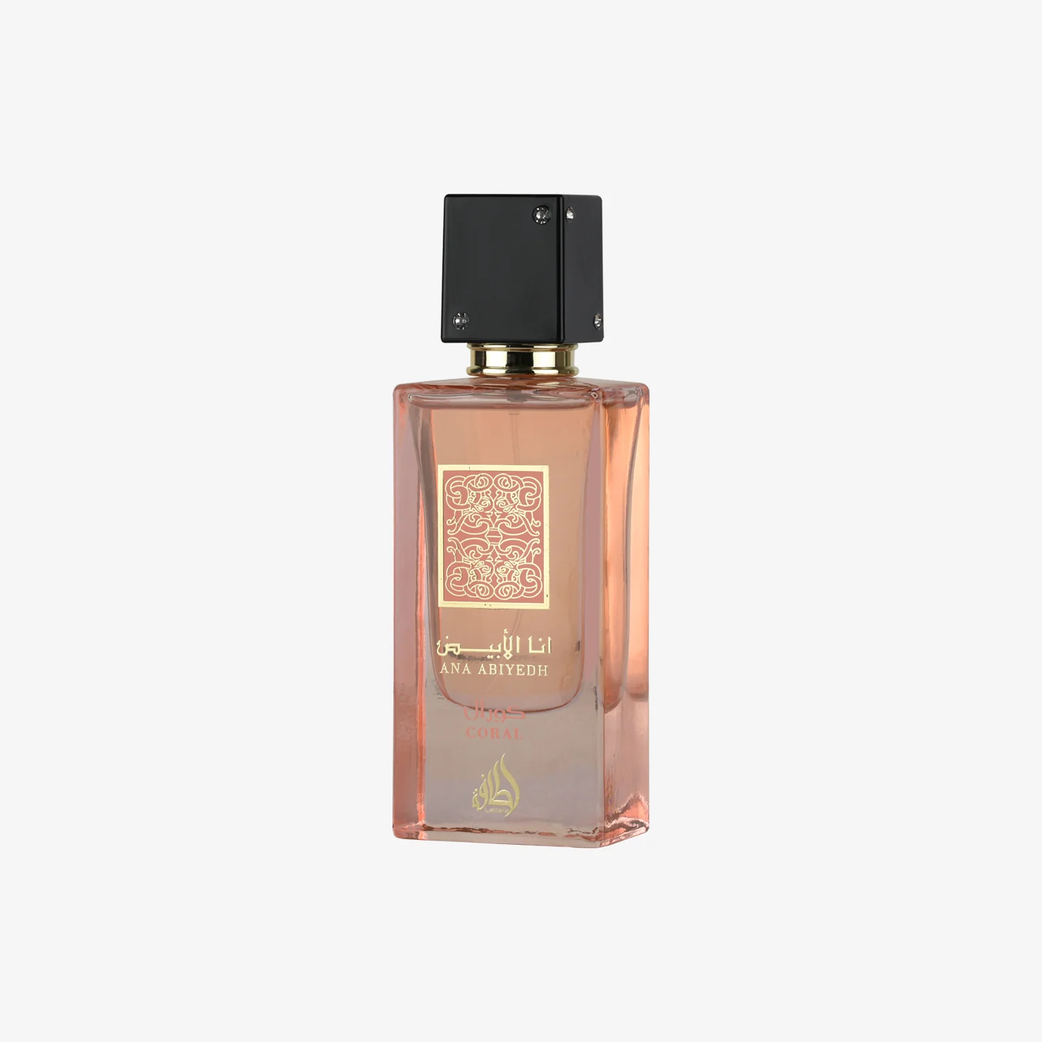 0-ana-abiyedh-coral-1.webp Ana Abiyedh Coral