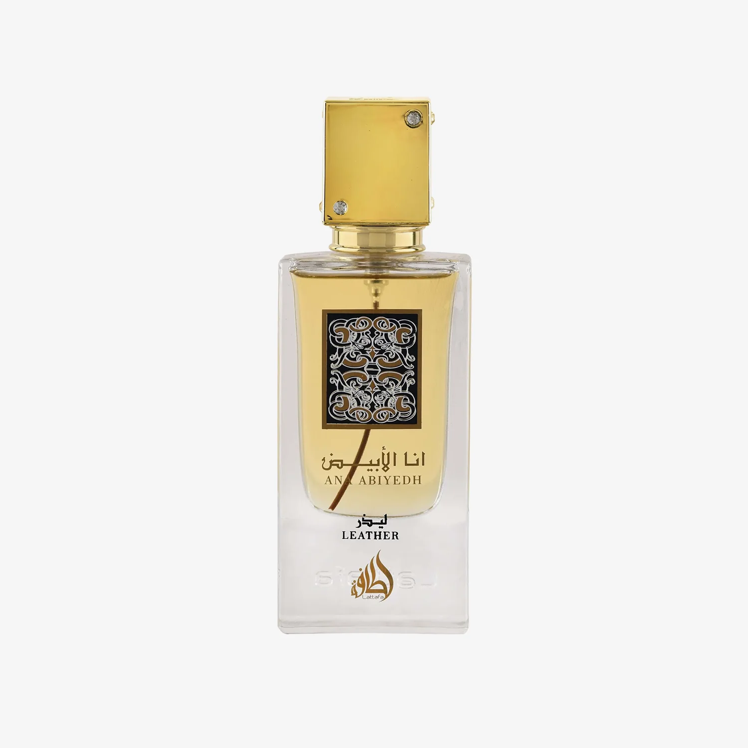78-ana-abiyedh-leather-1.webp Ana Abiyedh Leather